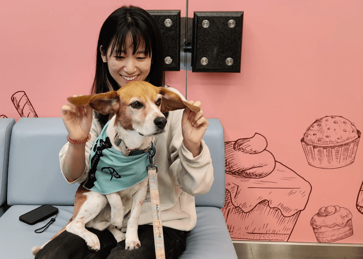 GPTZero team employees at an offsite in Toronto